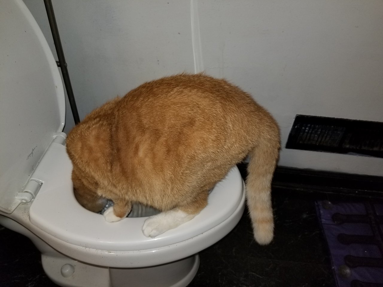 20170819_111440.jpg