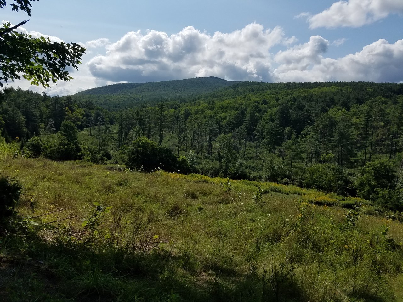 20170820_104426.jpg