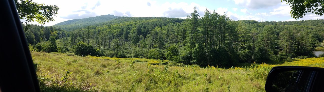 20170820_104456.jpg