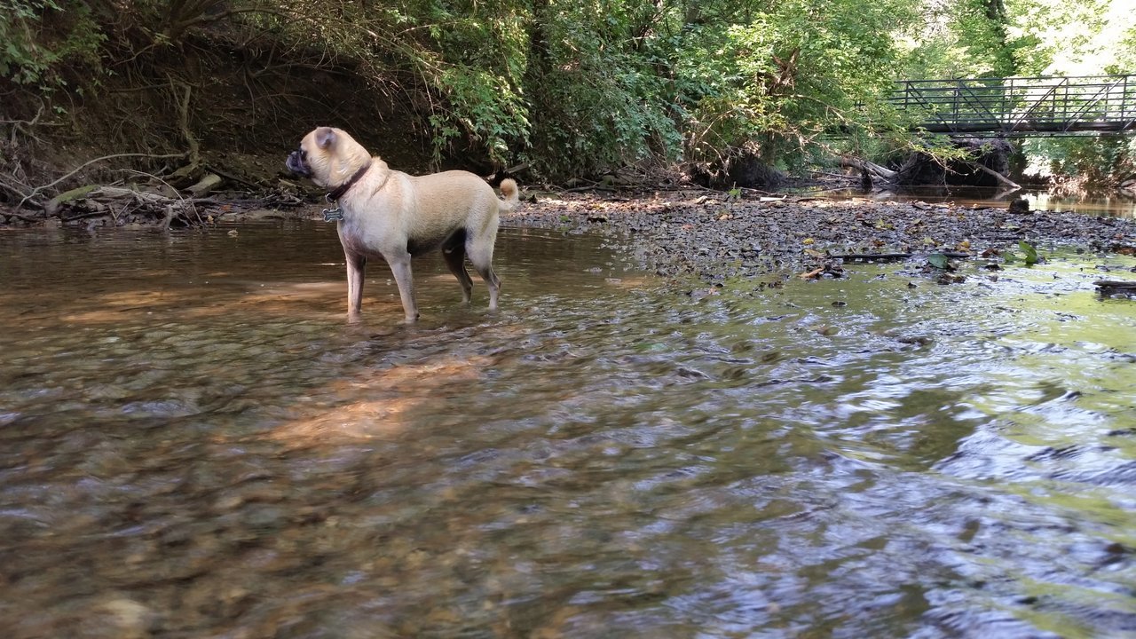 20170820_110815.jpg