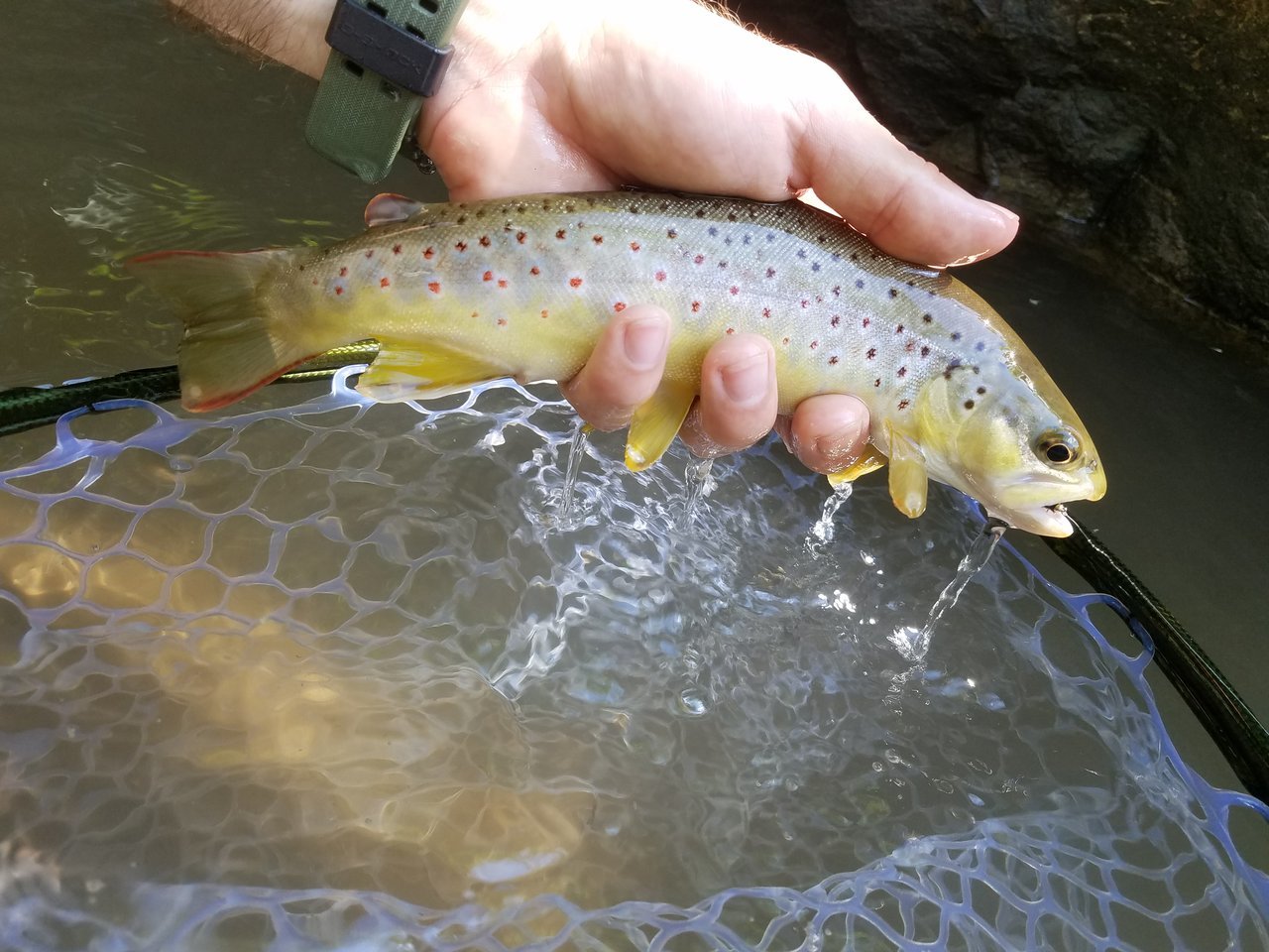 20170820_113114.jpg