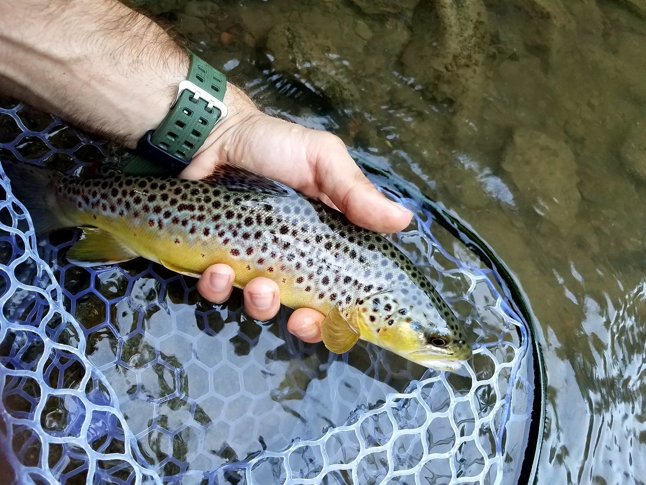 20170820_190118.jpg