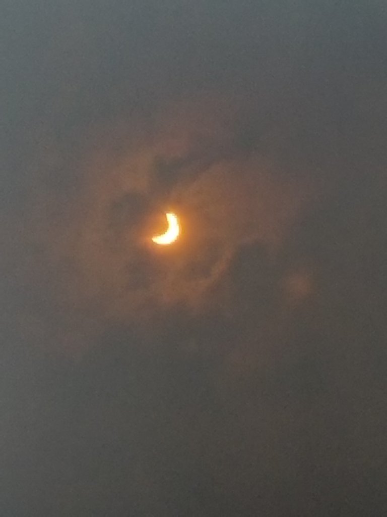 20170821_103115.jpg