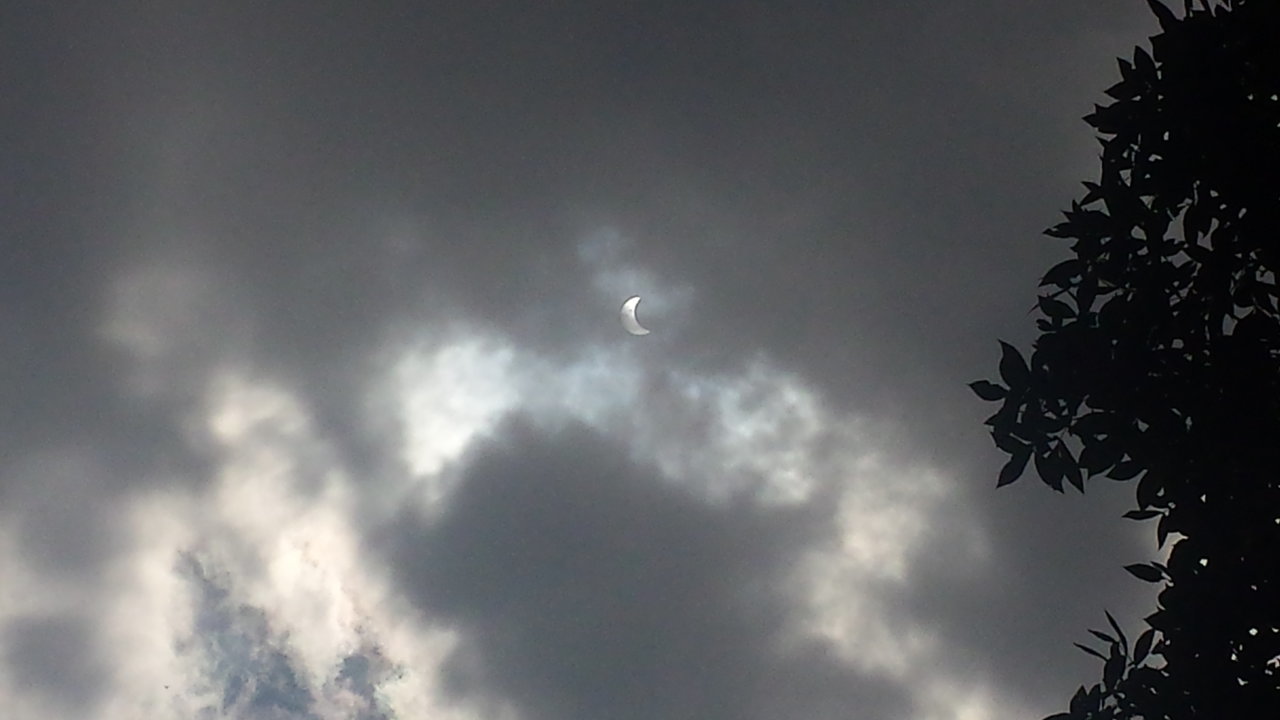 20170821_125123.jpg