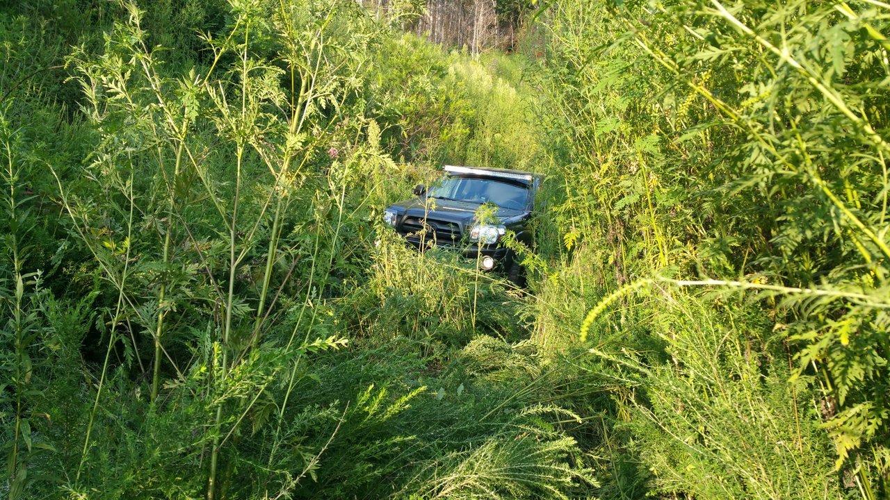 20170821_191834.jpg