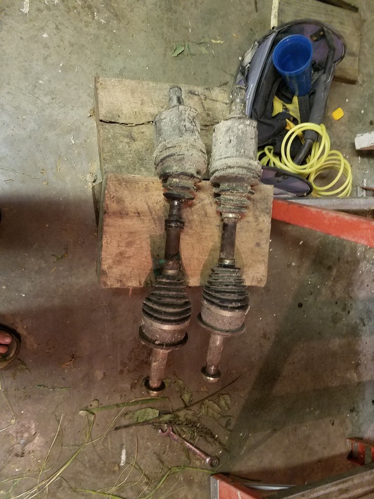 20170822_124033.jpg