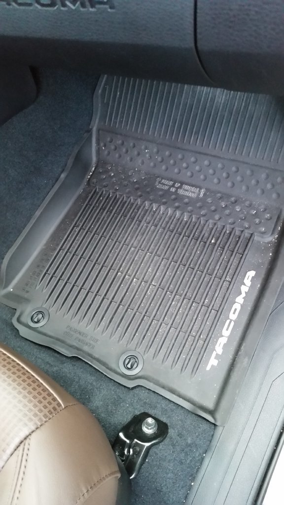 20170823_065833.jpg