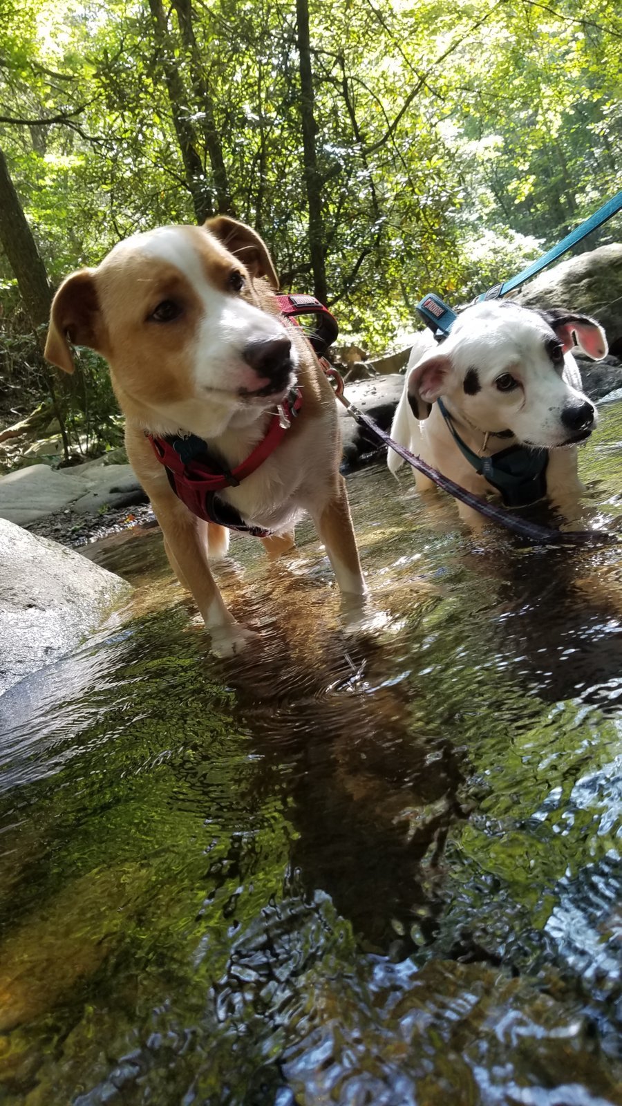 20170823_095530.jpg