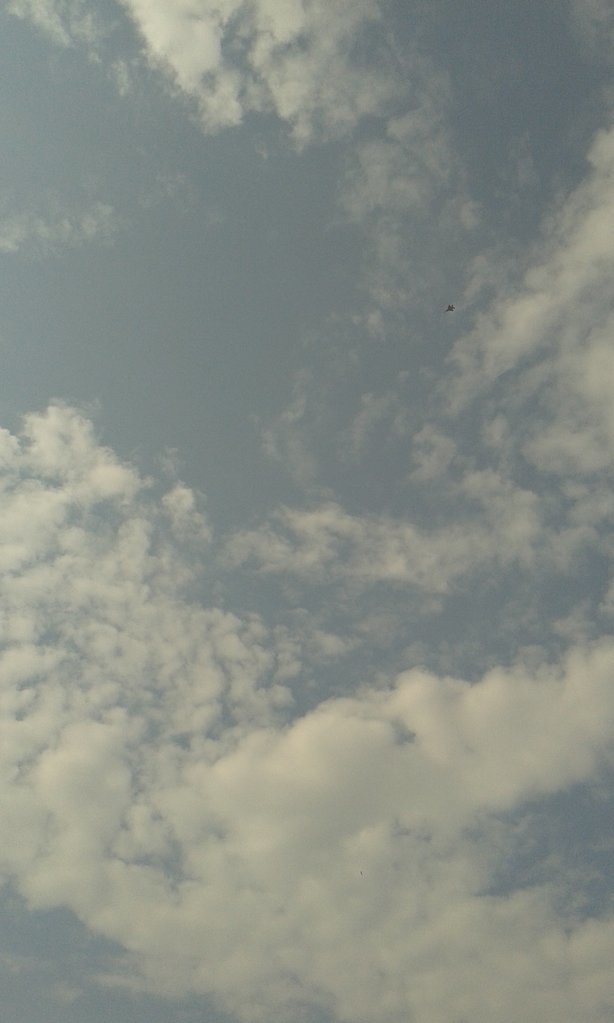20170823_101702.jpg