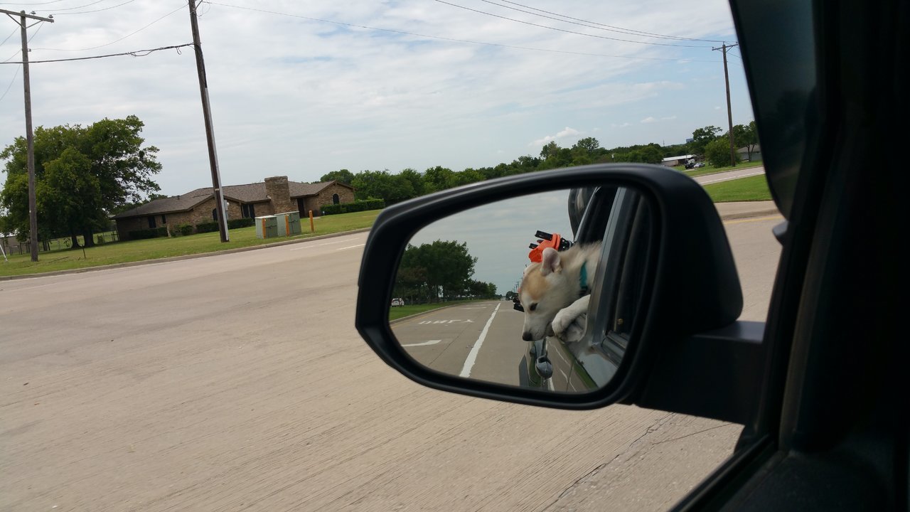 20170823_124221.jpg