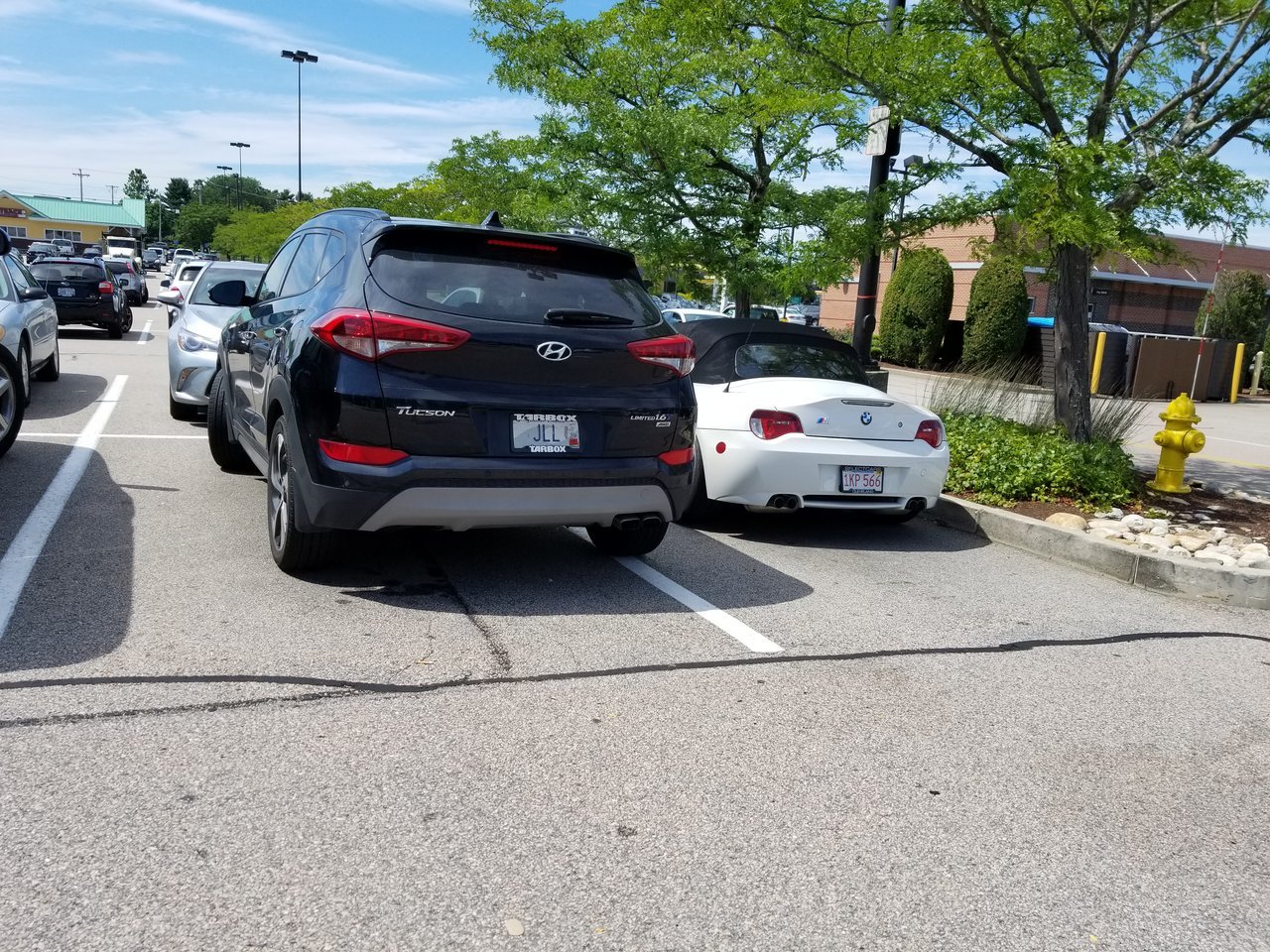 20170823_131338.jpg
