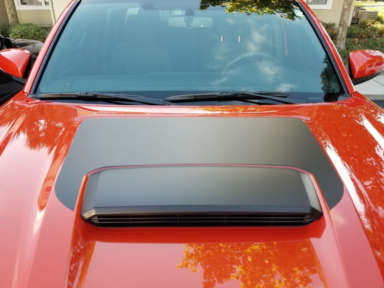 20170824_083443.jpg