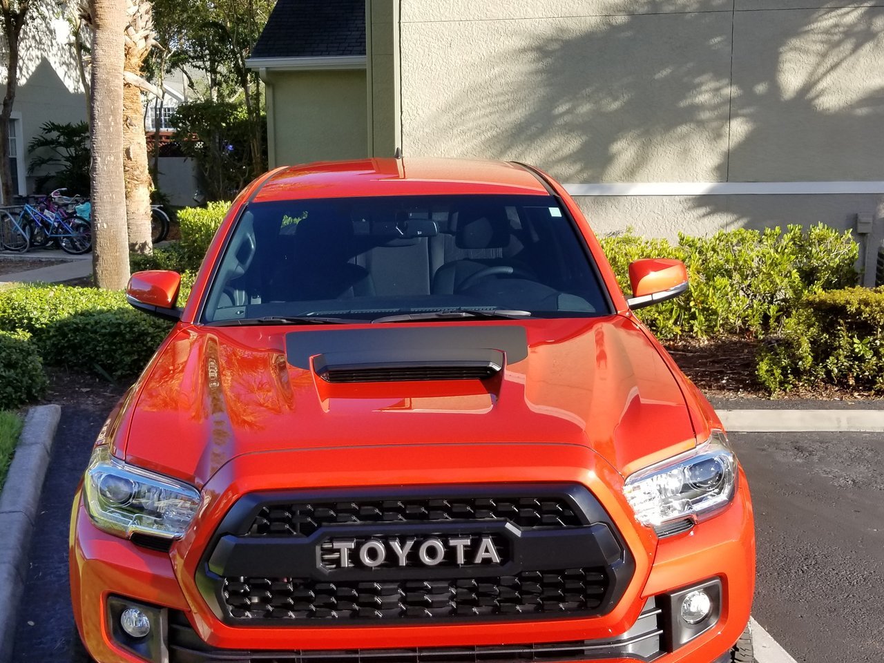 20170824_083845.jpg