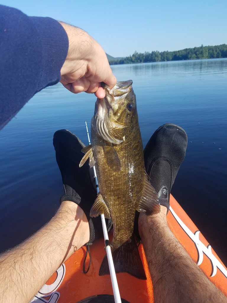 20170826_084548.jpg