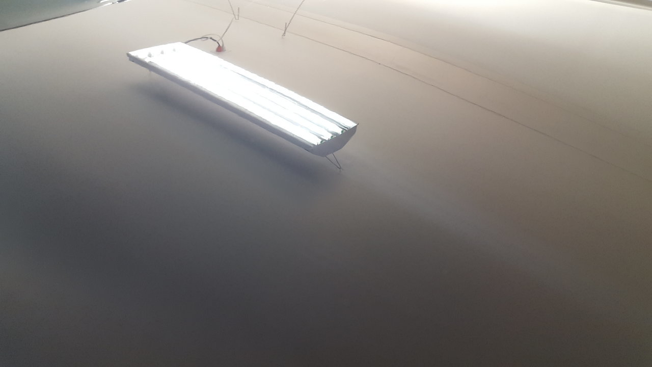 20170826_090813.jpg