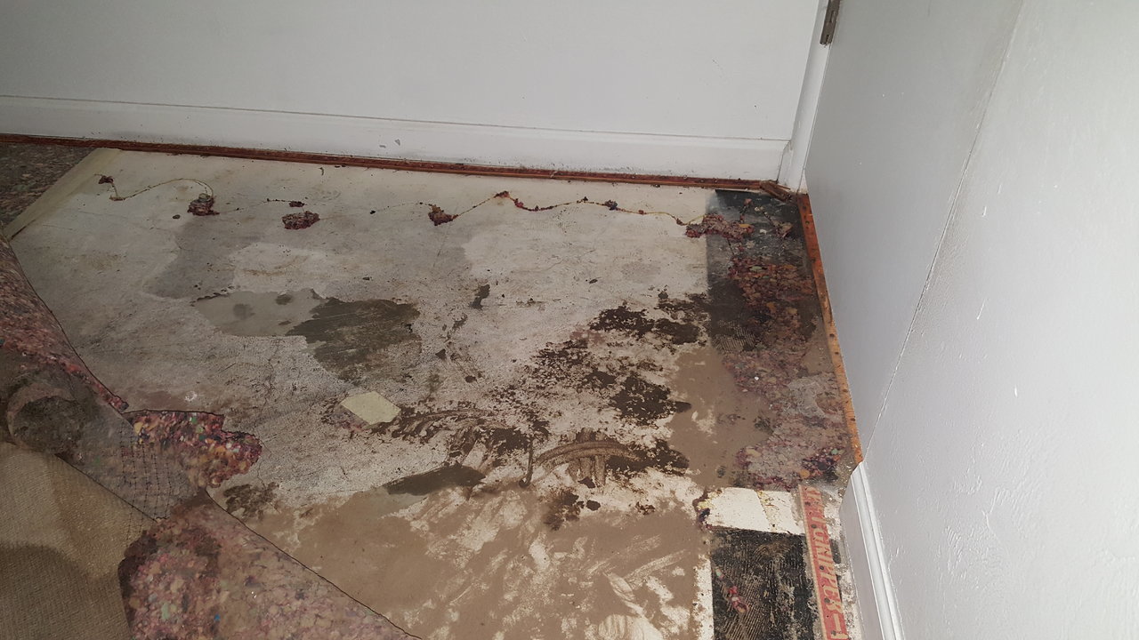 20170826_201420.jpg