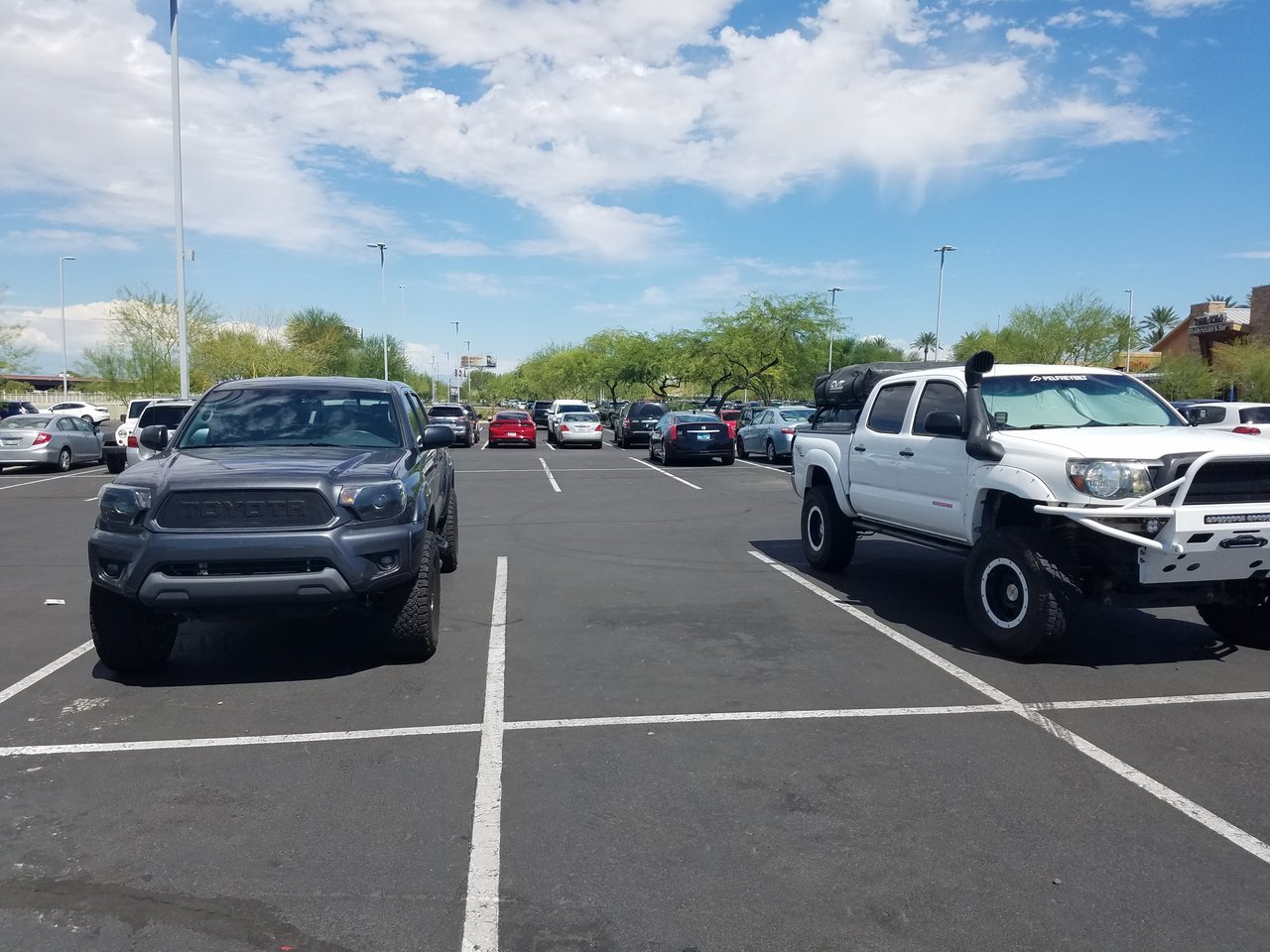 20170827_135236.jpg