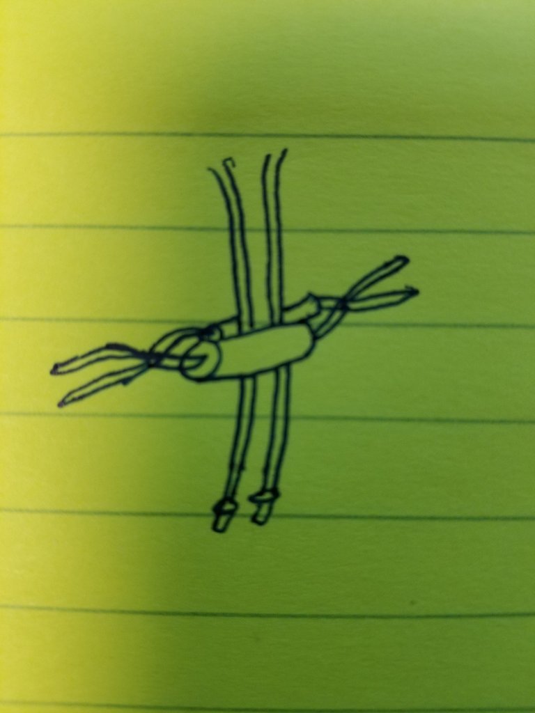 20170830_143359.jpg