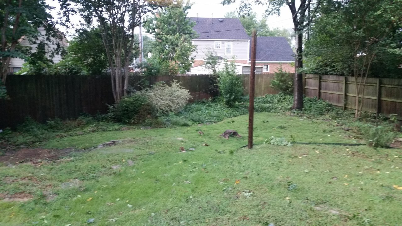 20170901_074038.jpg