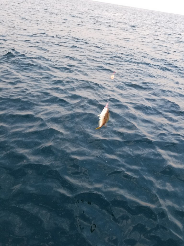20170902_065014.jpg