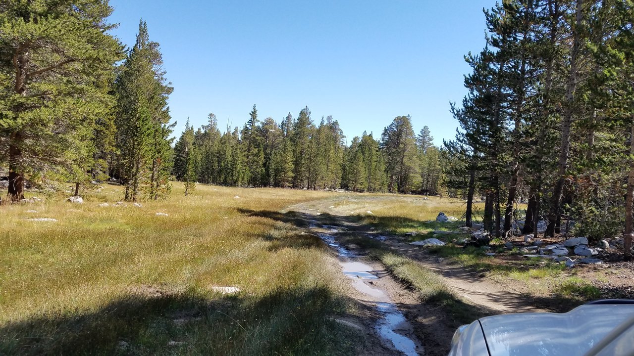 20170902_105942.jpg
