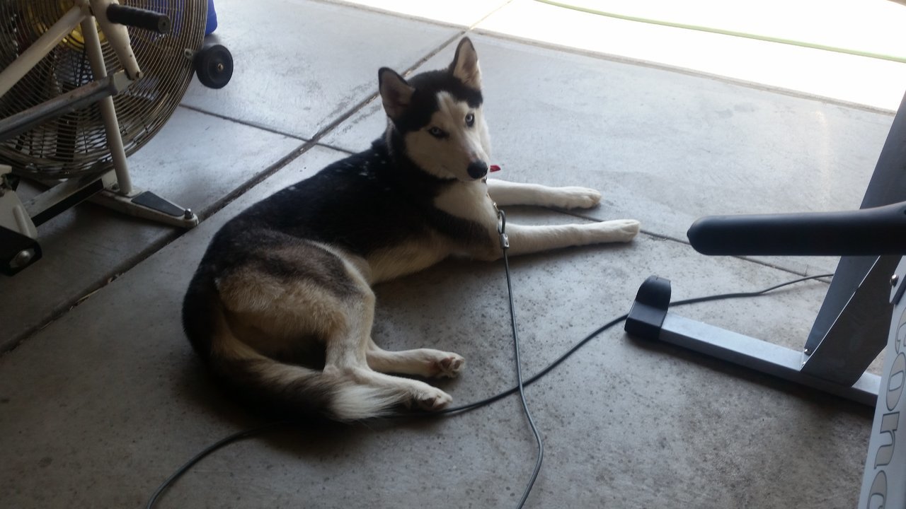 20170902_142639.jpg