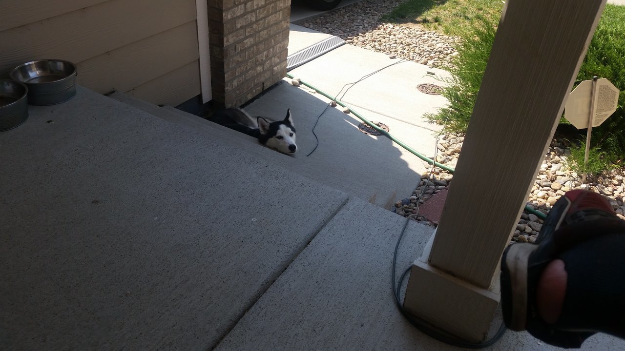 20170902_144931.jpg