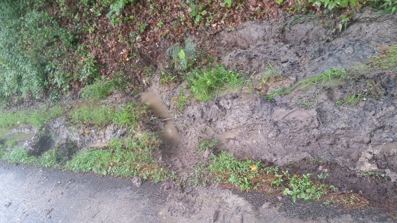 20170902_165301.jpg
