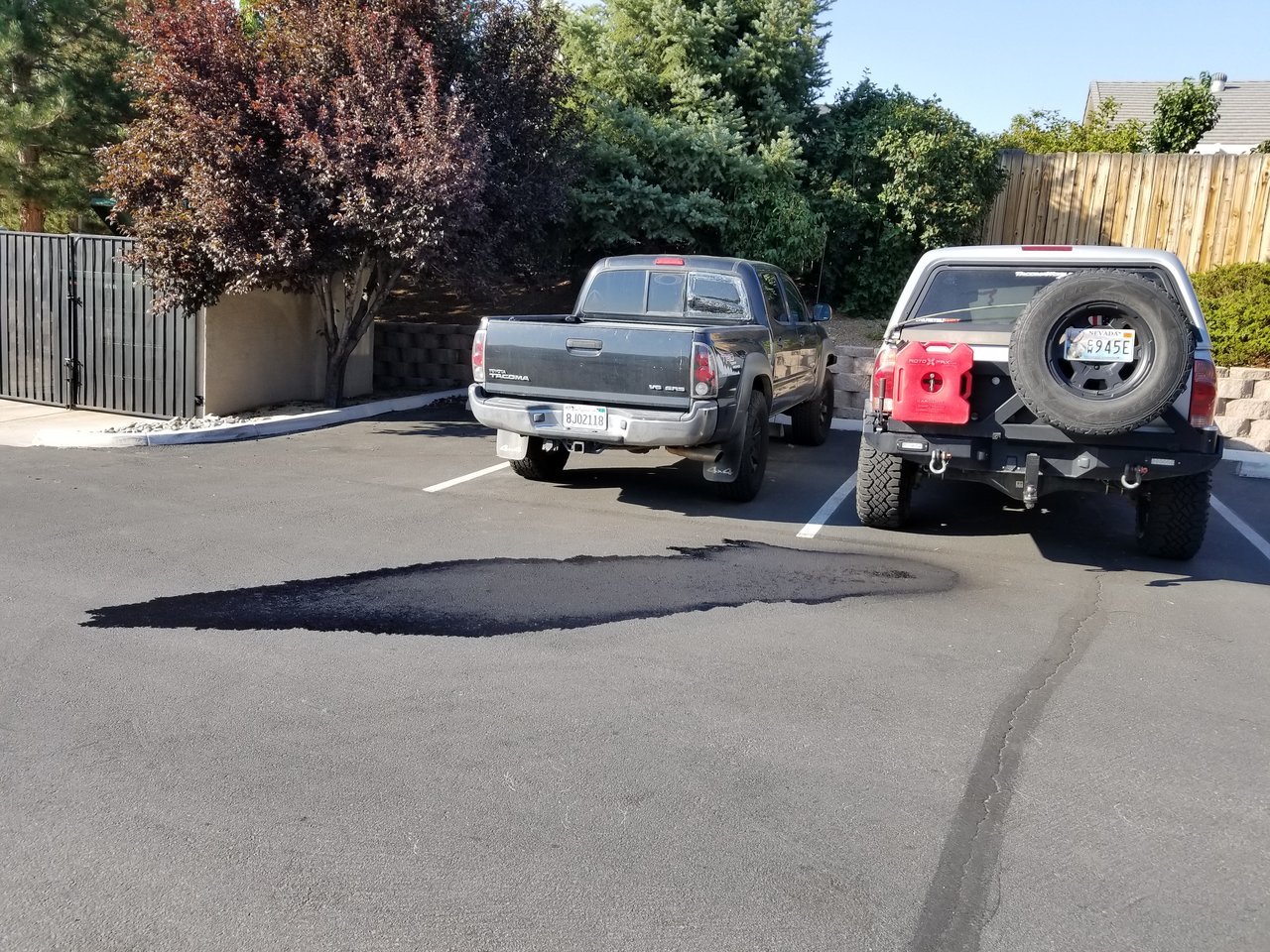 20170902_165821.jpg