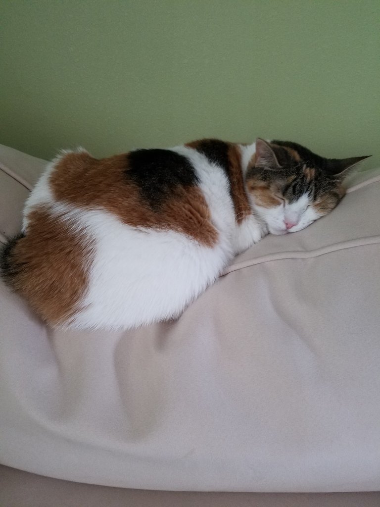 20170902_171324.jpg