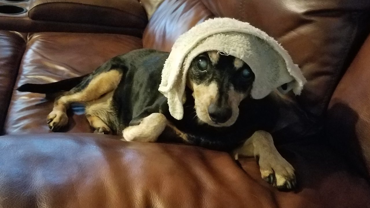 20170902_205902.jpg