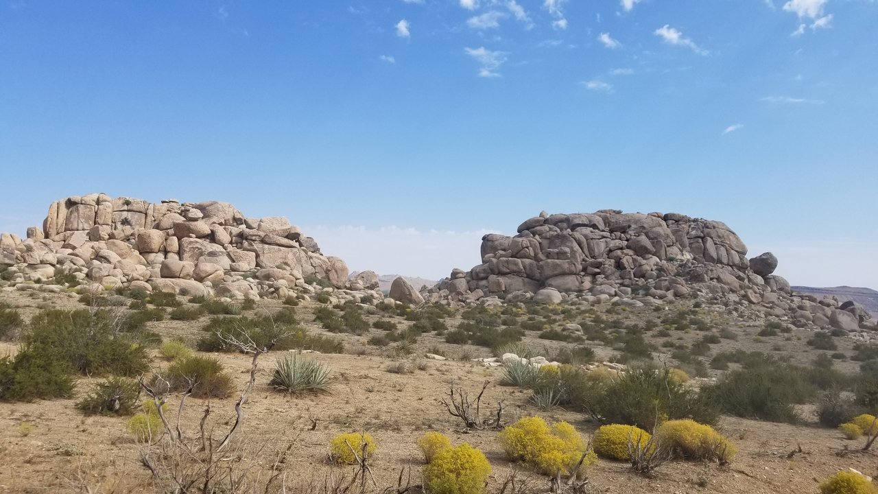 20170903_100416.jpg