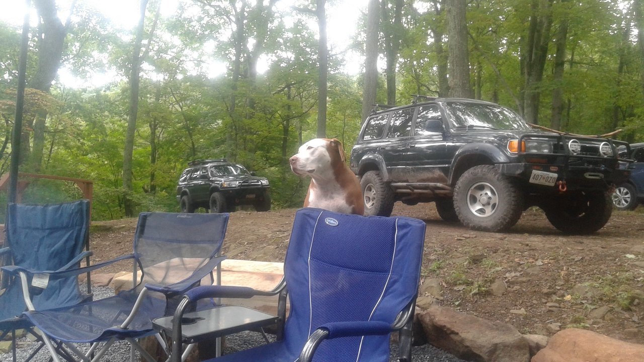 20170903_114522.jpg