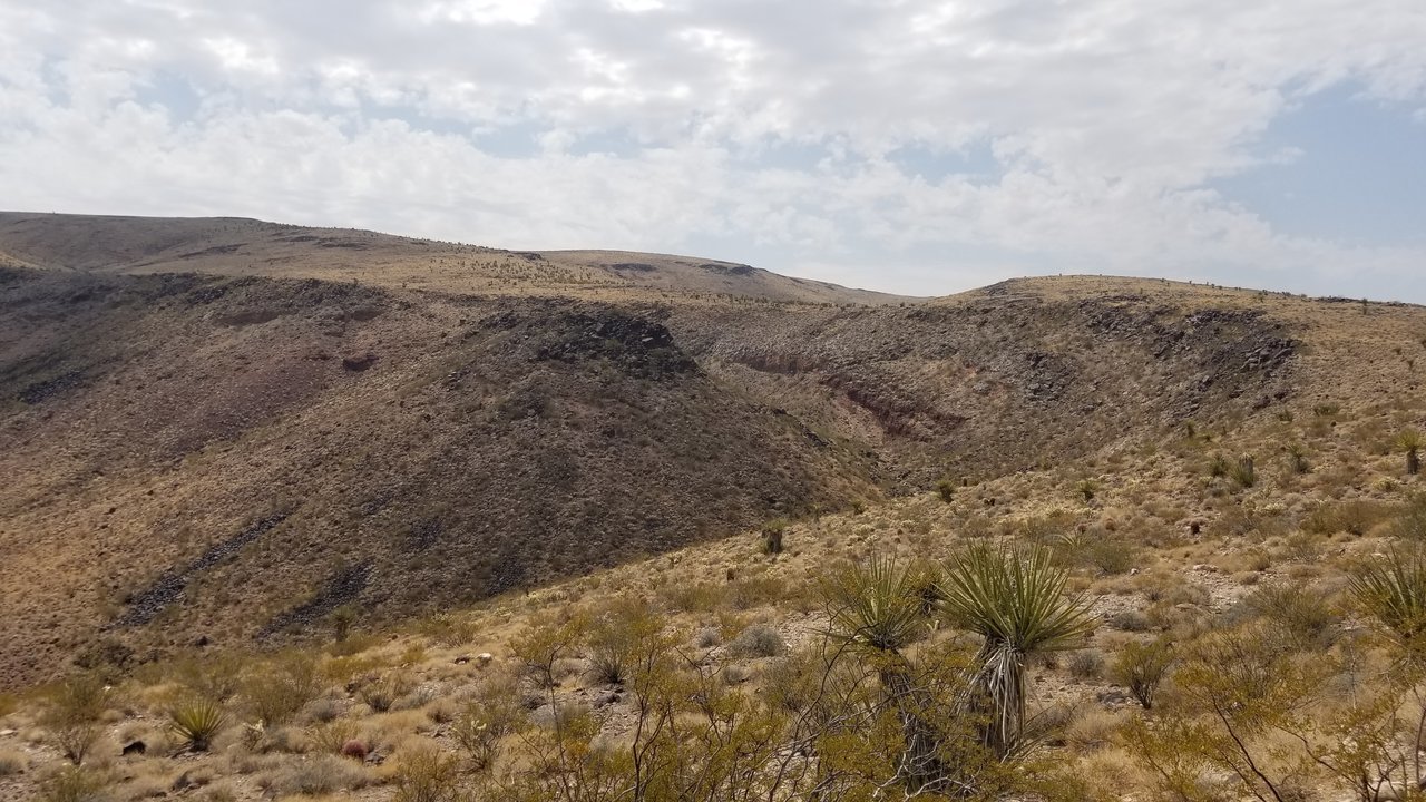 20170903_122442.jpg