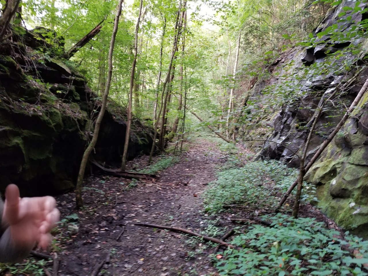 20170903_193328.jpg