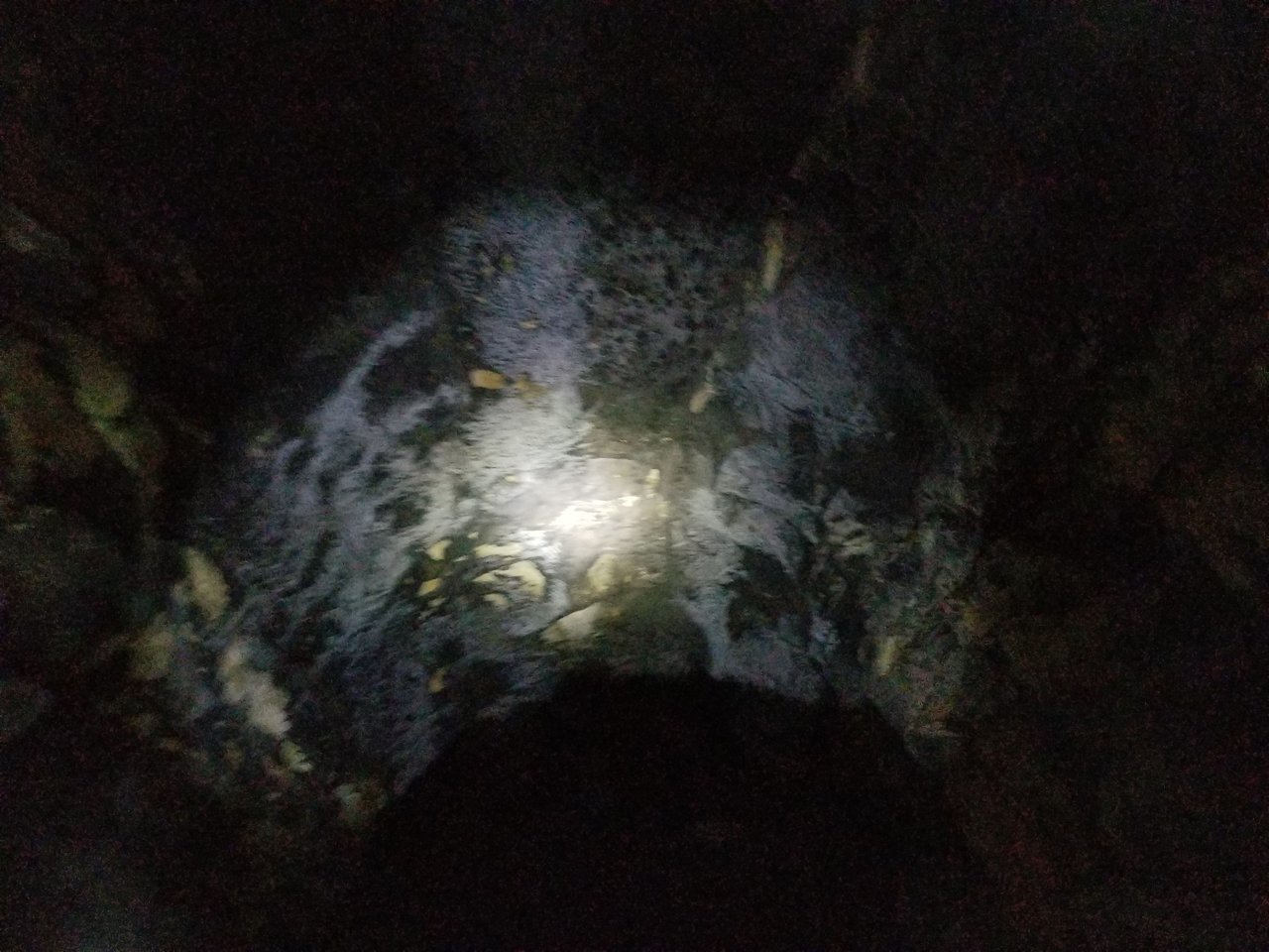 20170903_193451.jpg