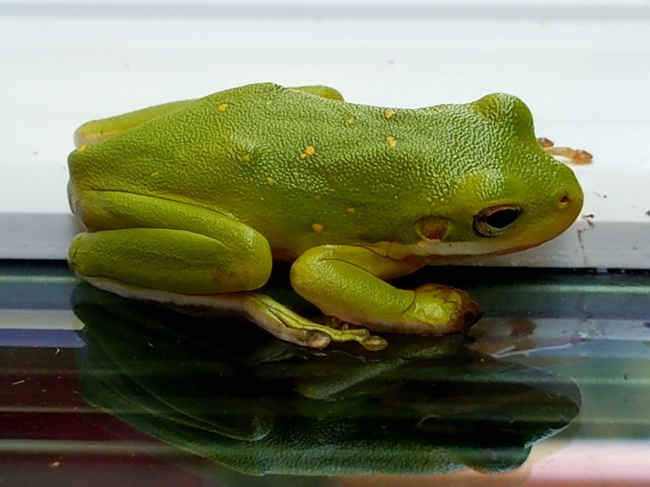 20170903_203053.jpg