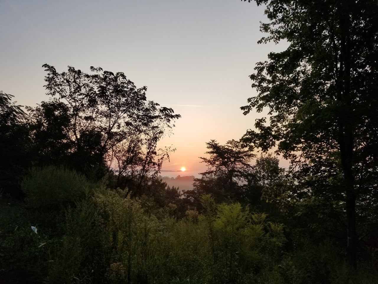 20170904_072229.jpg
