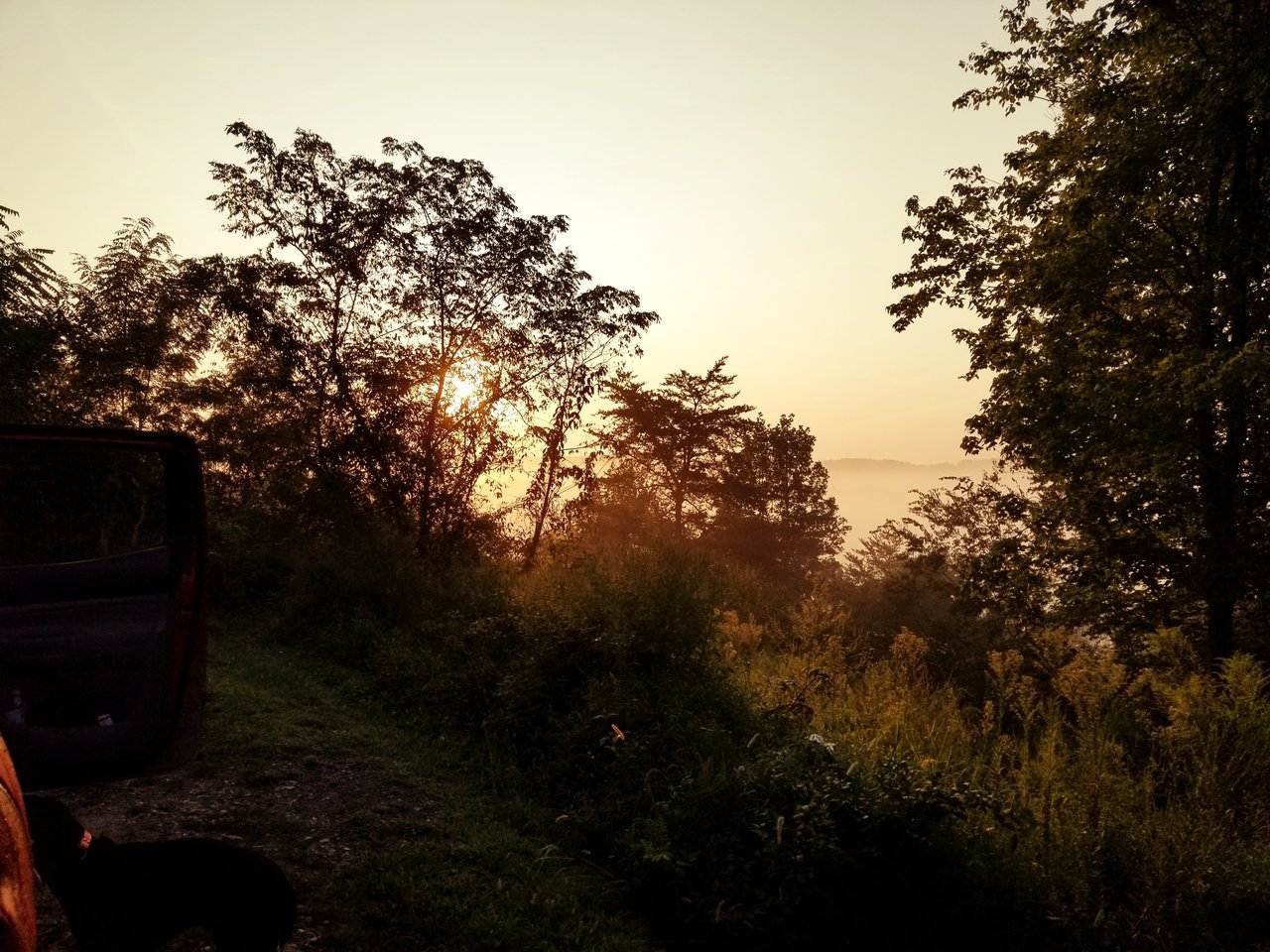 20170904_074049.jpg