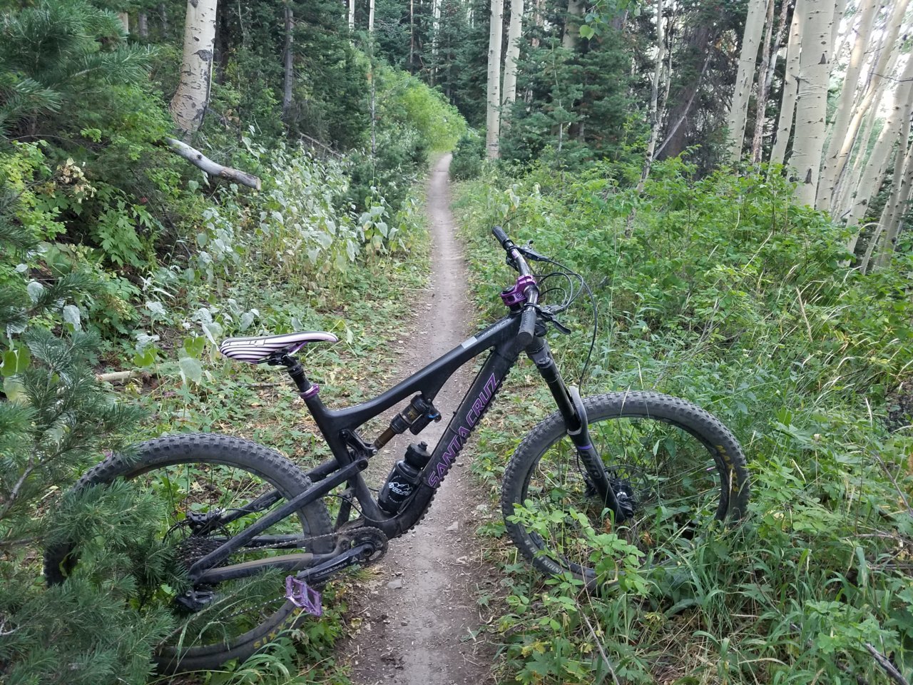 20170904_094927.jpg