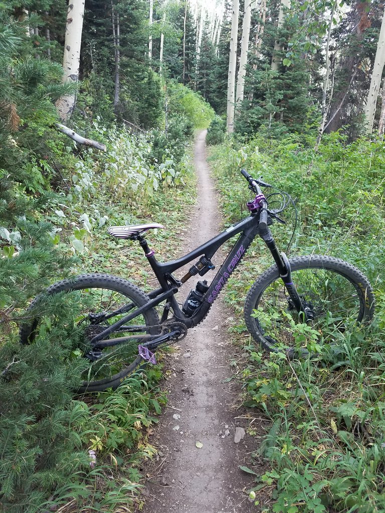 20170904_094934.jpg
