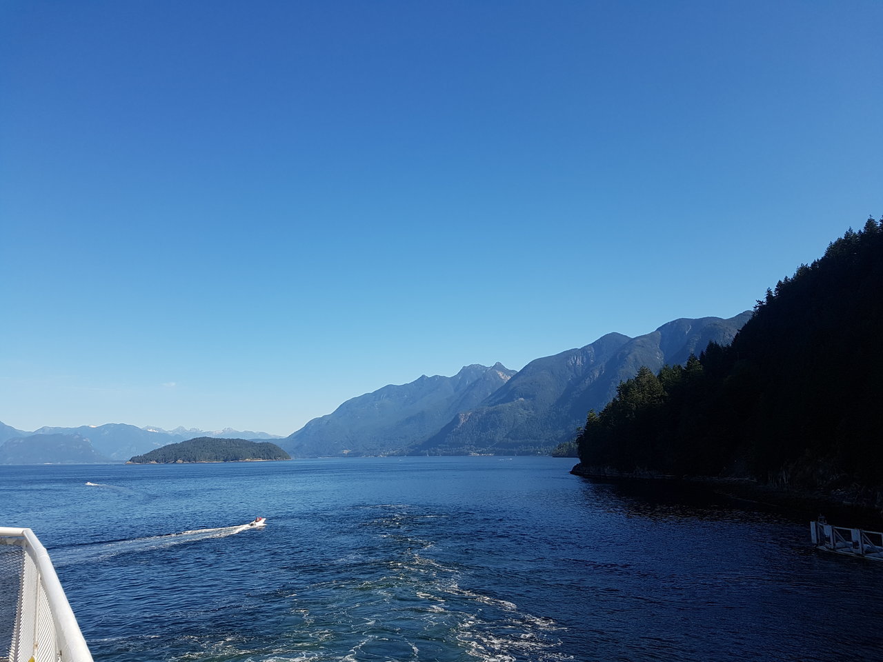 20170904_103536.jpg