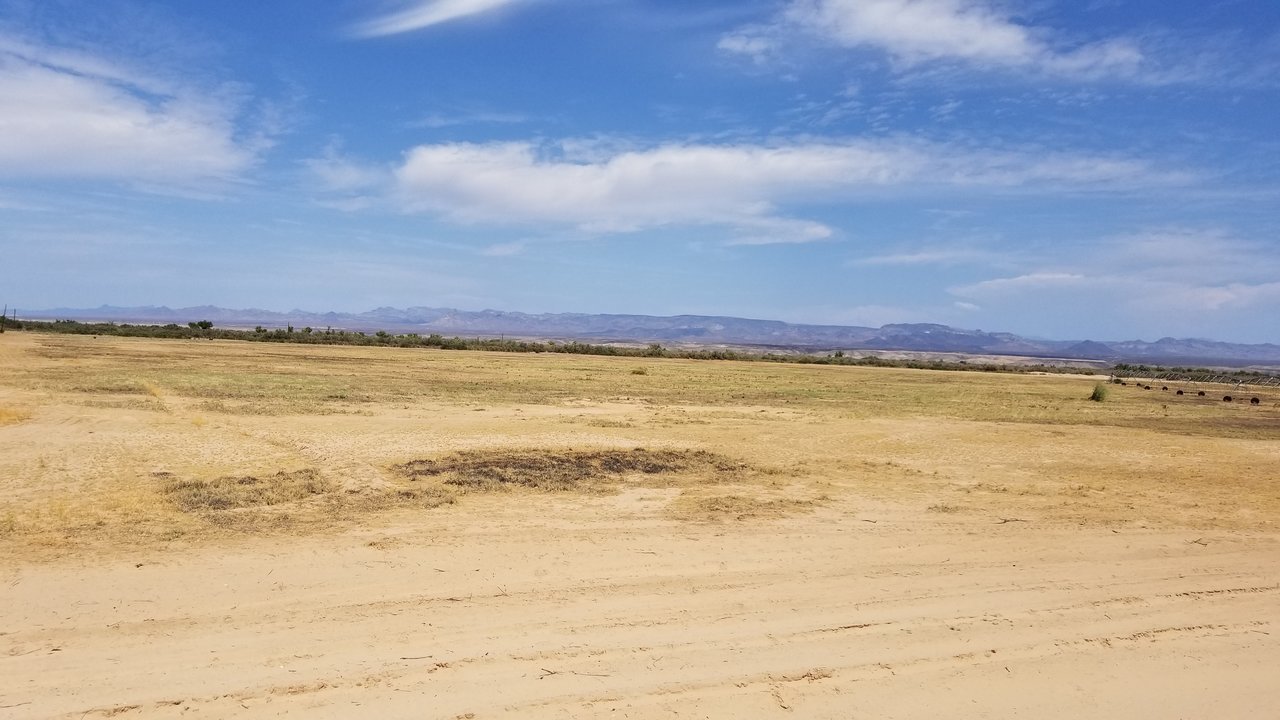 20170904_132338.jpg