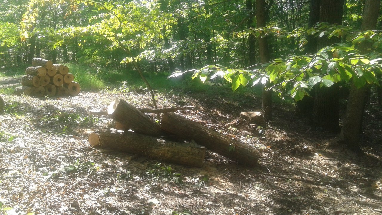 20170904_160617.jpg