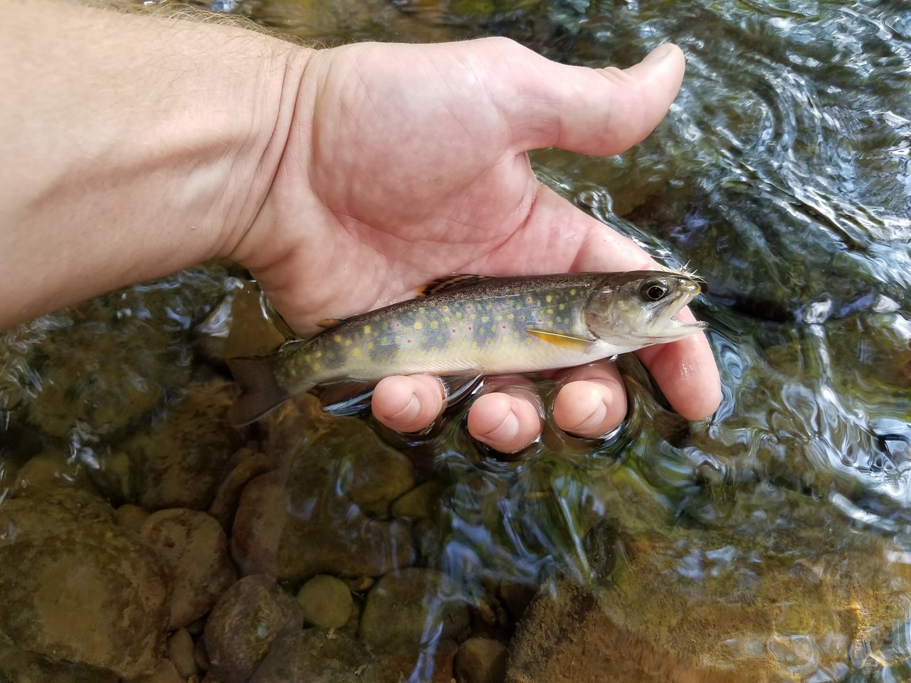 20170904_170757.jpg
