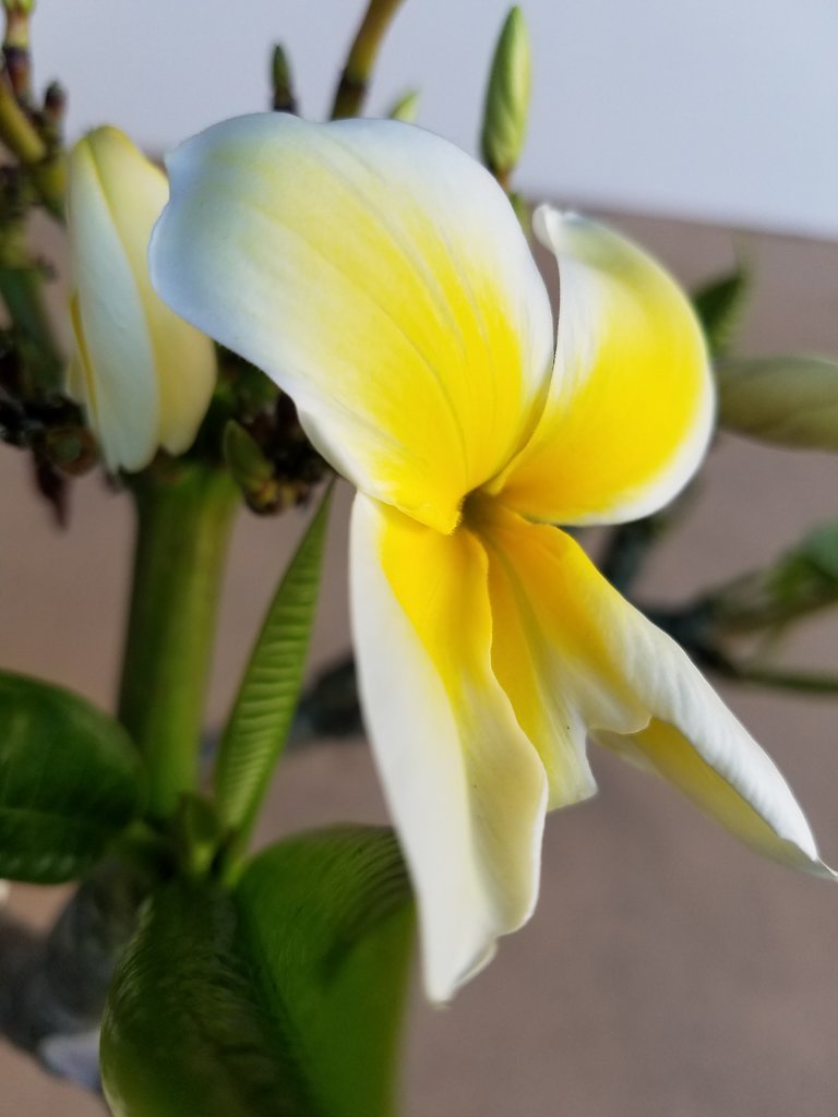20170906_070402.jpg