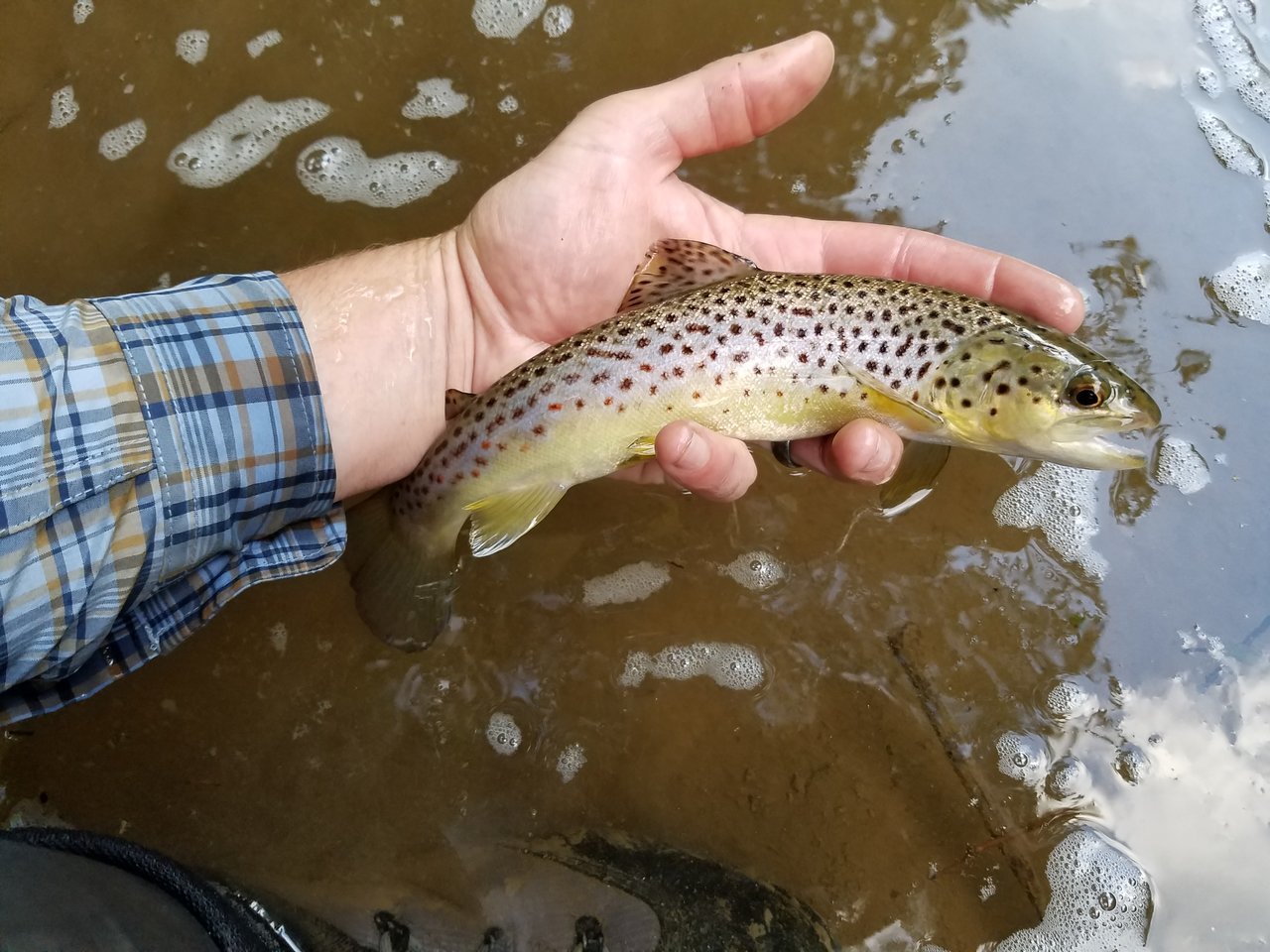 20170908_204639.jpg