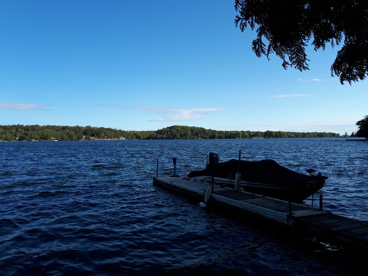 20170909_094141.jpg