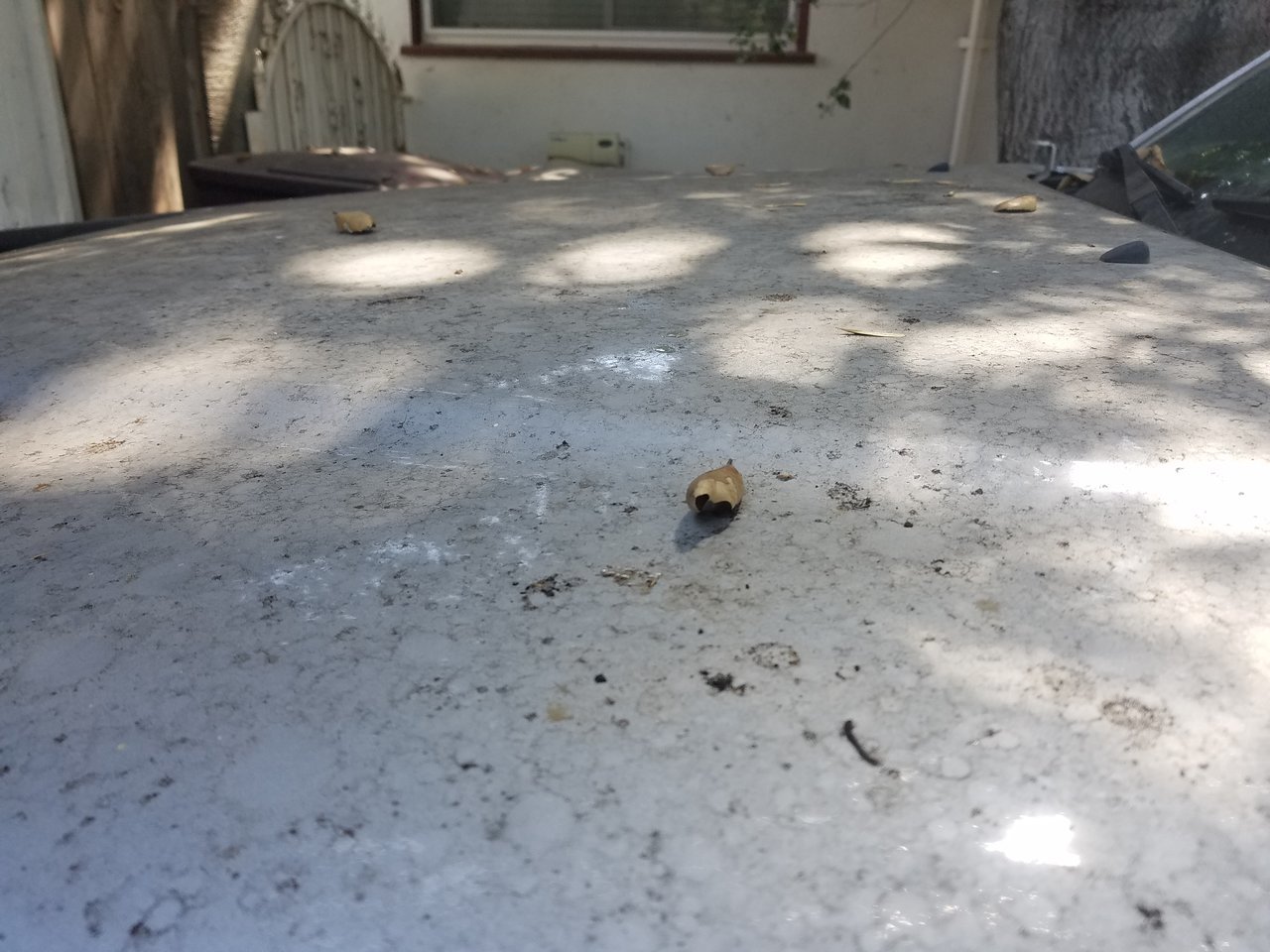 20170910_113443.jpg
