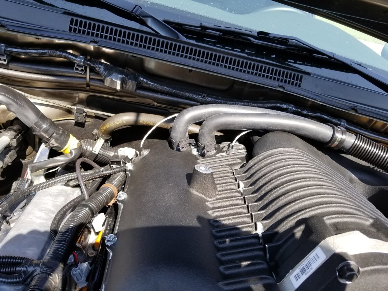 20170910_120428.jpg